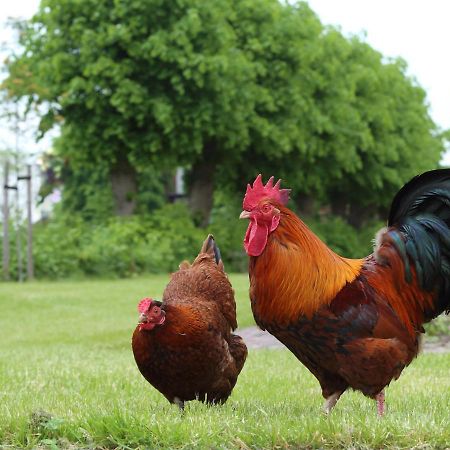 Hoogheem Erfgoed & Logies Villa Nieuwolda-Oost Kültér fotó